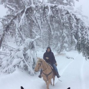 Meet your Posher, Wendi